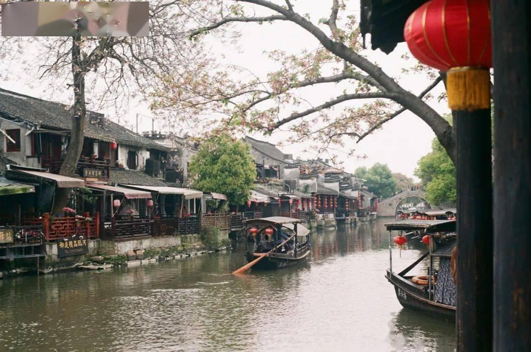 贪吃鼠吃豆豆
